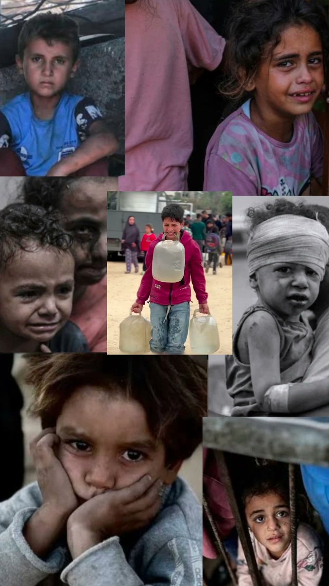 Fatma Zehra🍉 tweet media