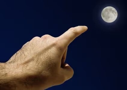 Dani Moro tweet media