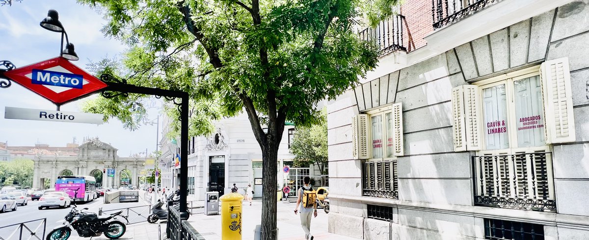 Fernando Gavín tweet media