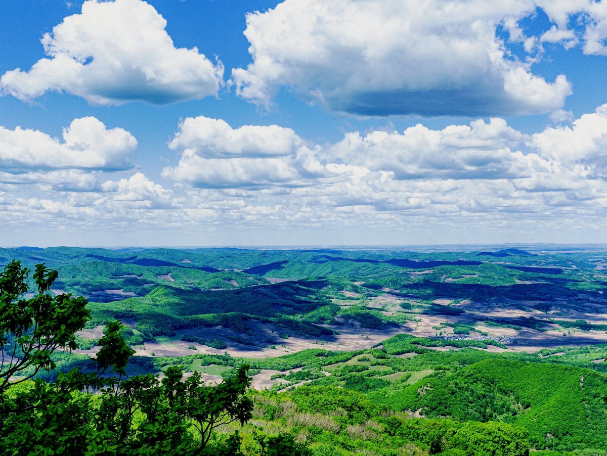 chase swanson tweet media