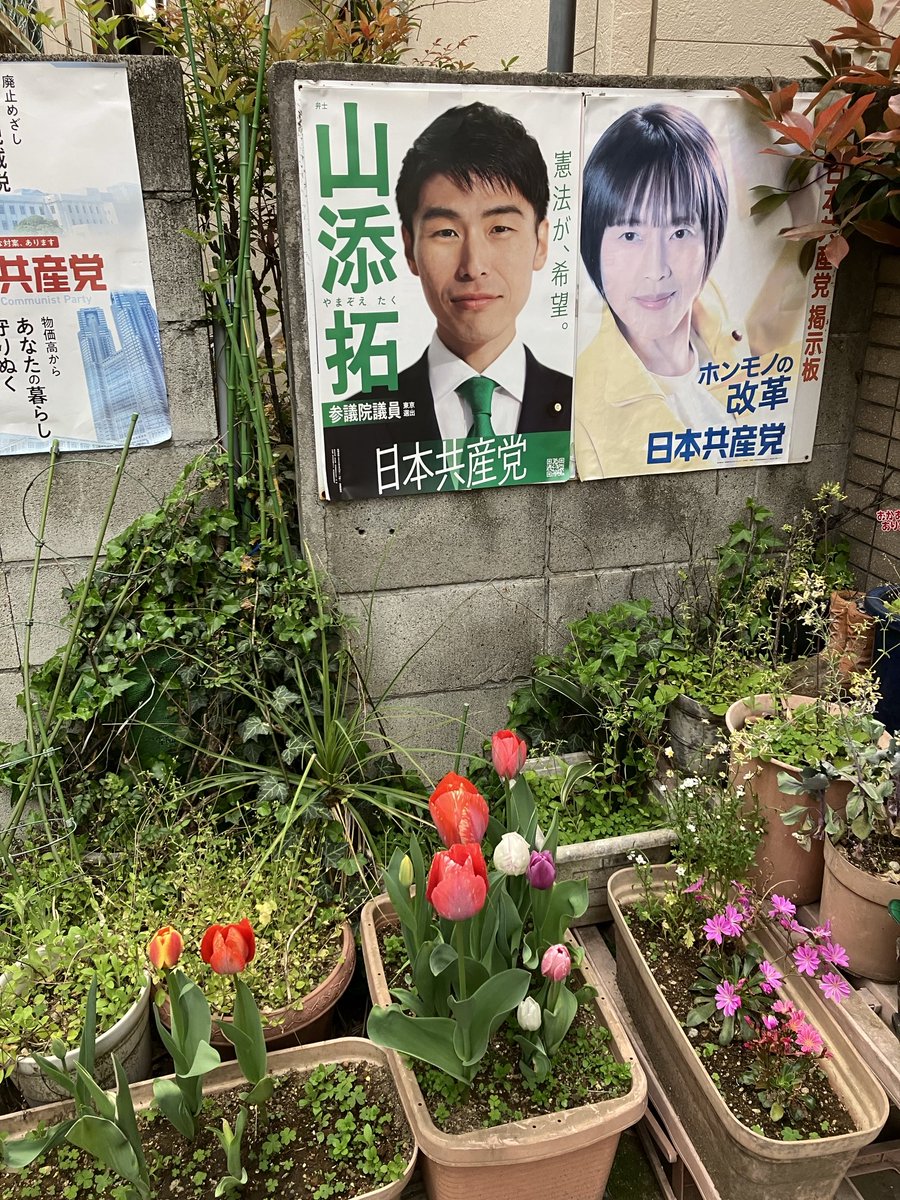 SNSイメージ