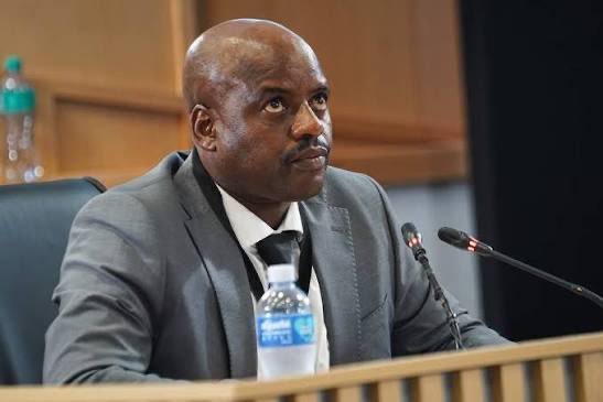 Sunflower tweet media