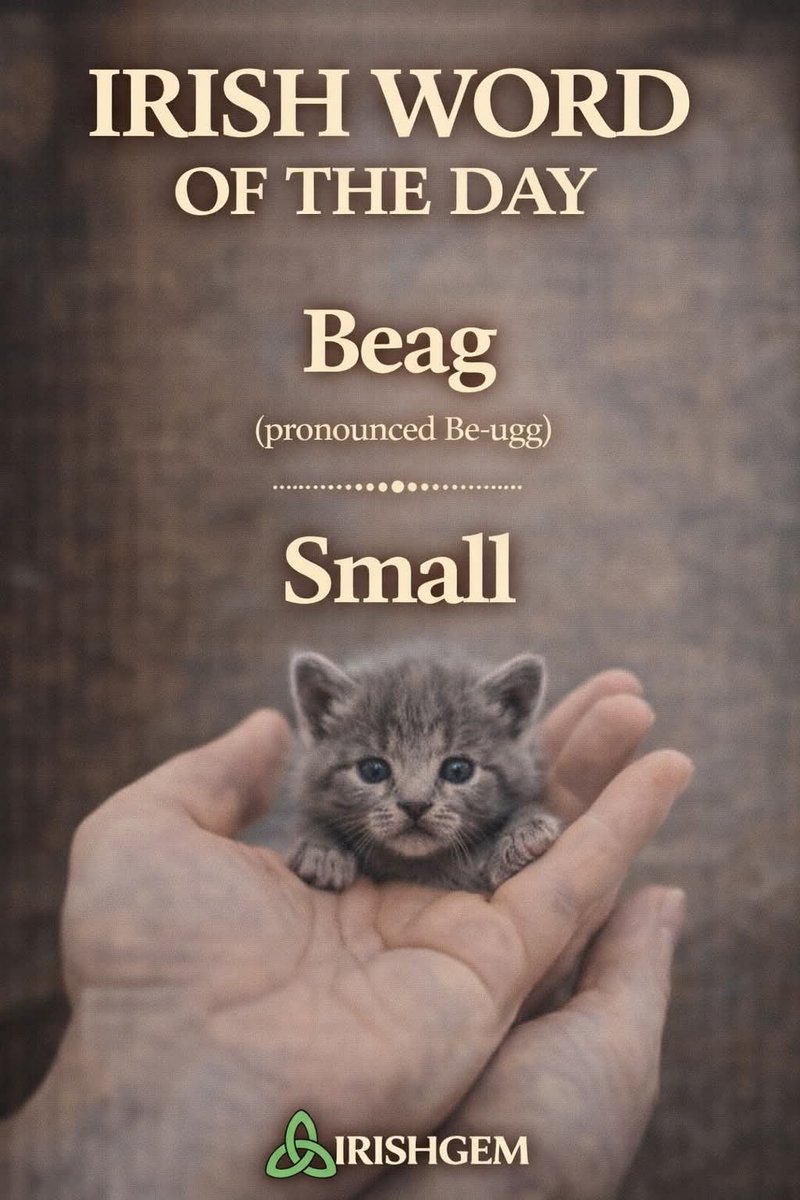 ThisIsIreland3's tweet image. 🇮🇪 Irish Word of the Day 🇮🇪

Come learn some Irish with me!
A few words every day is the easiest way to start understanding the Irish language, even if you’ve never spoken a word before ☘️

Save this post so you can come back to it later 🇮🇪

📸 The Irish Gem

#Irish #Ireland