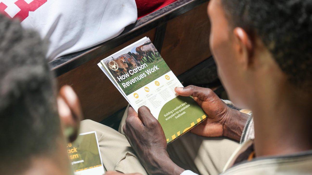 MConservancies's tweet photo. Our continued engagements with youth, in partnership with the One Mara Carbon Project (OMCP), took place yesterday in Aitong, where young people actively shared their views on the Youth Engagement Framework we are developing.
The session also provided an opportunity for youth to engage directly with OMCP officers—asking questions, raising concerns, and gaining a better understanding of the carbon project.
The conversations continue as we head to Mararianda, our next venue for youth engagement.
Join us tomorrow, Wednesday, April 15, at Mararianda.
We encourage all youth from Mararianda to attend and help shape the future.