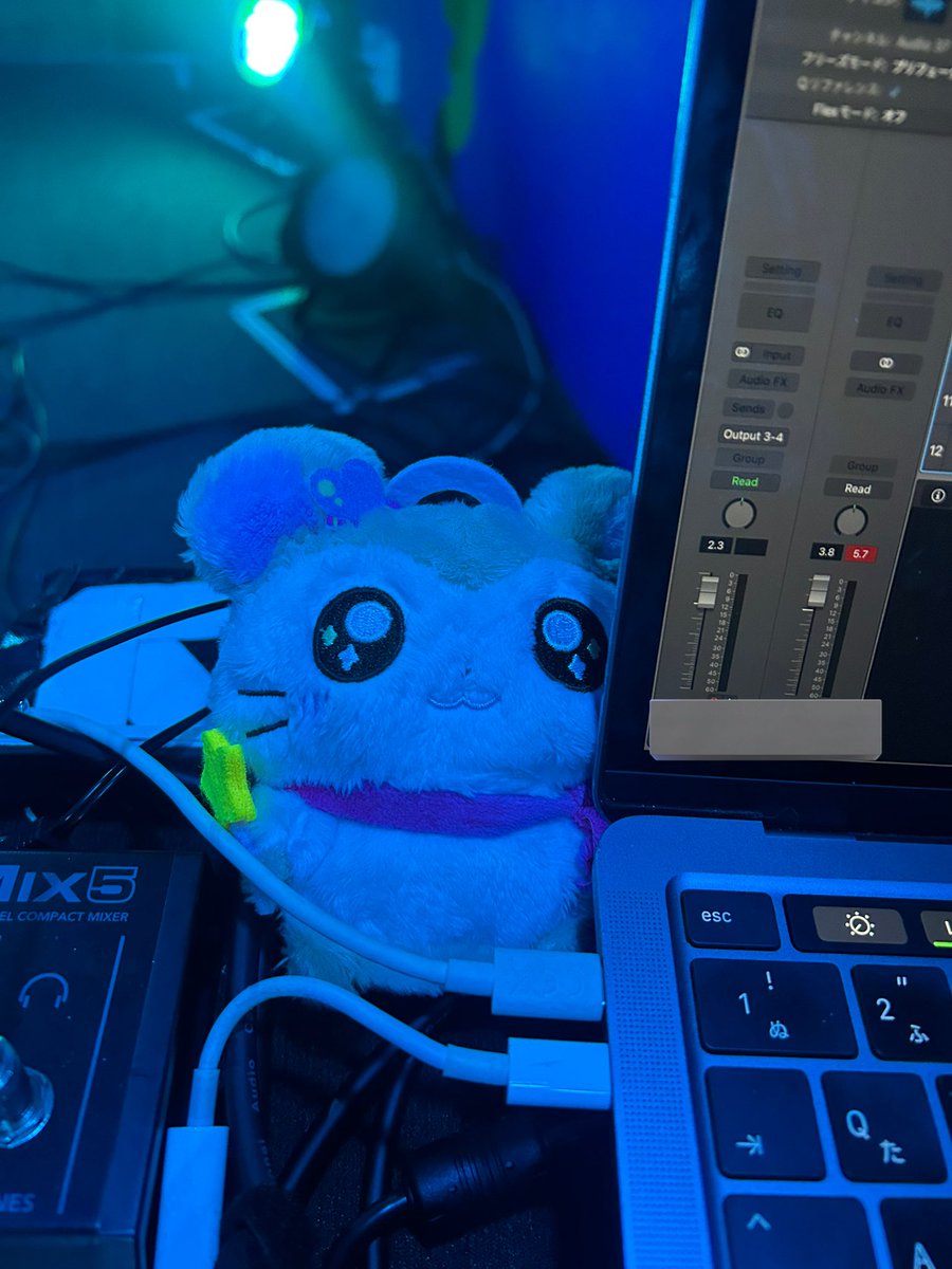 まゆ ハク。 tweet media