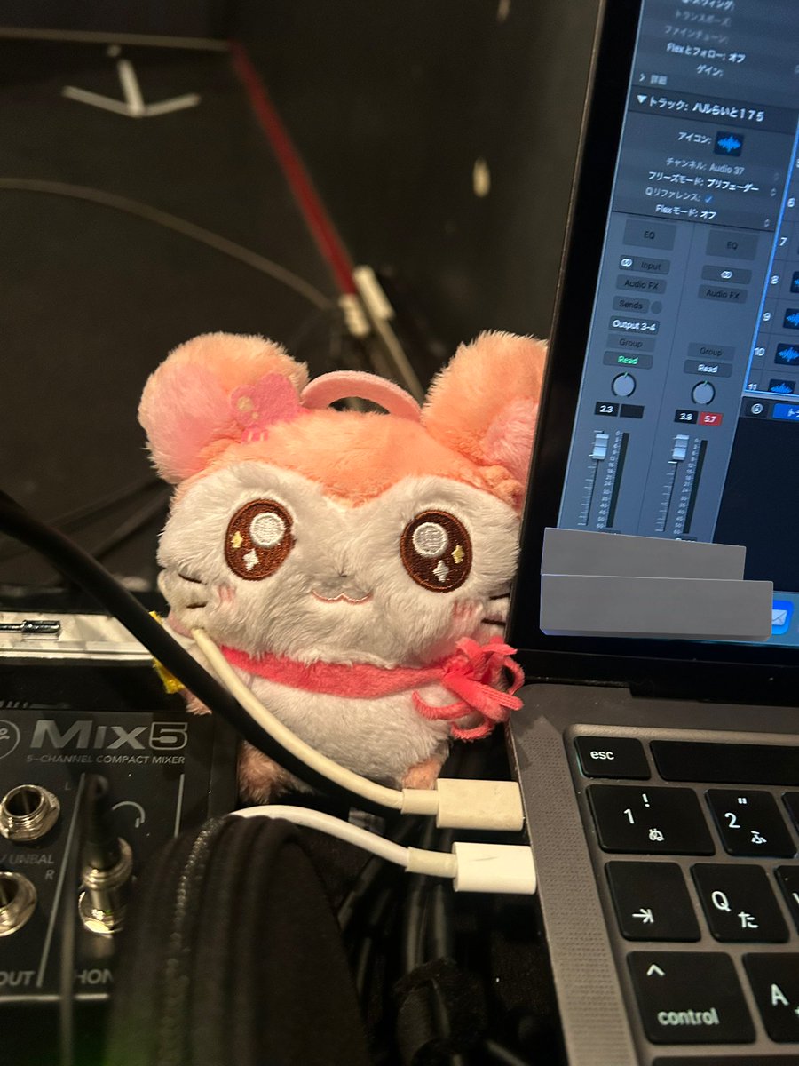 まゆ ハク。 tweet media