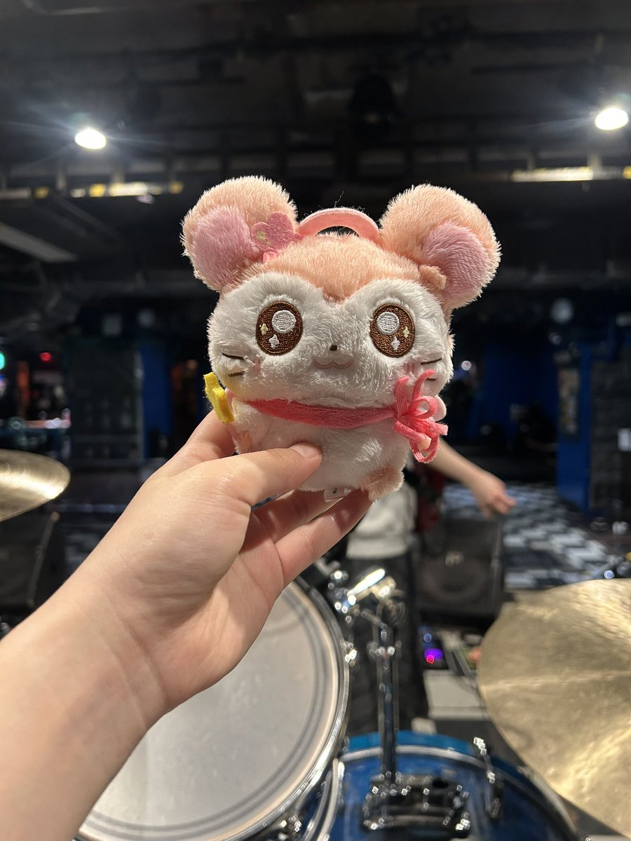 まゆ ハク。 tweet media