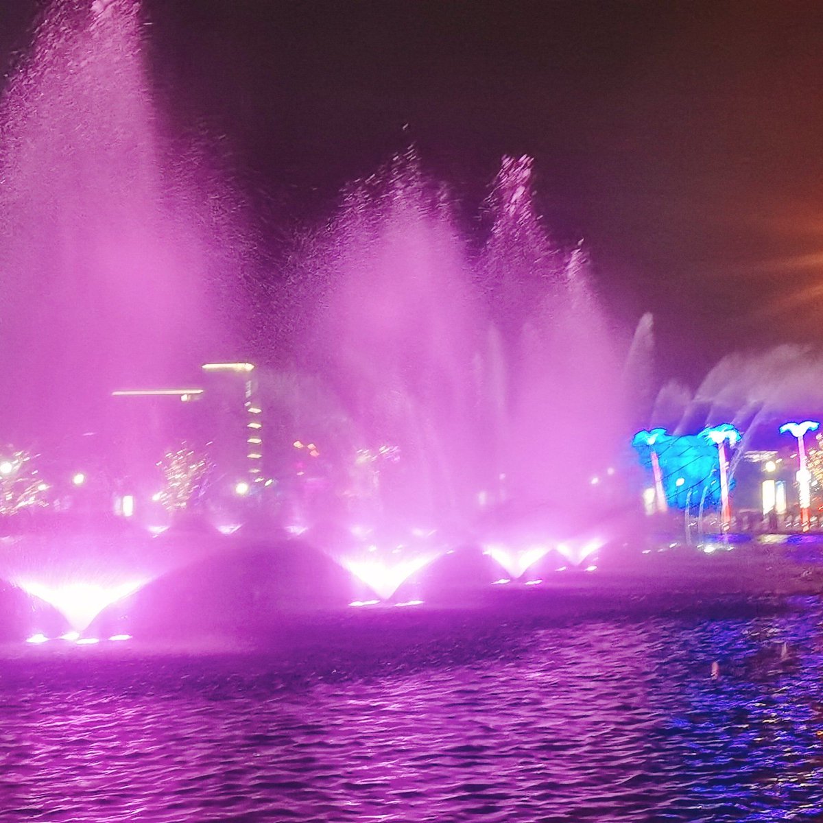 Paula Scallion-Pond tweet media