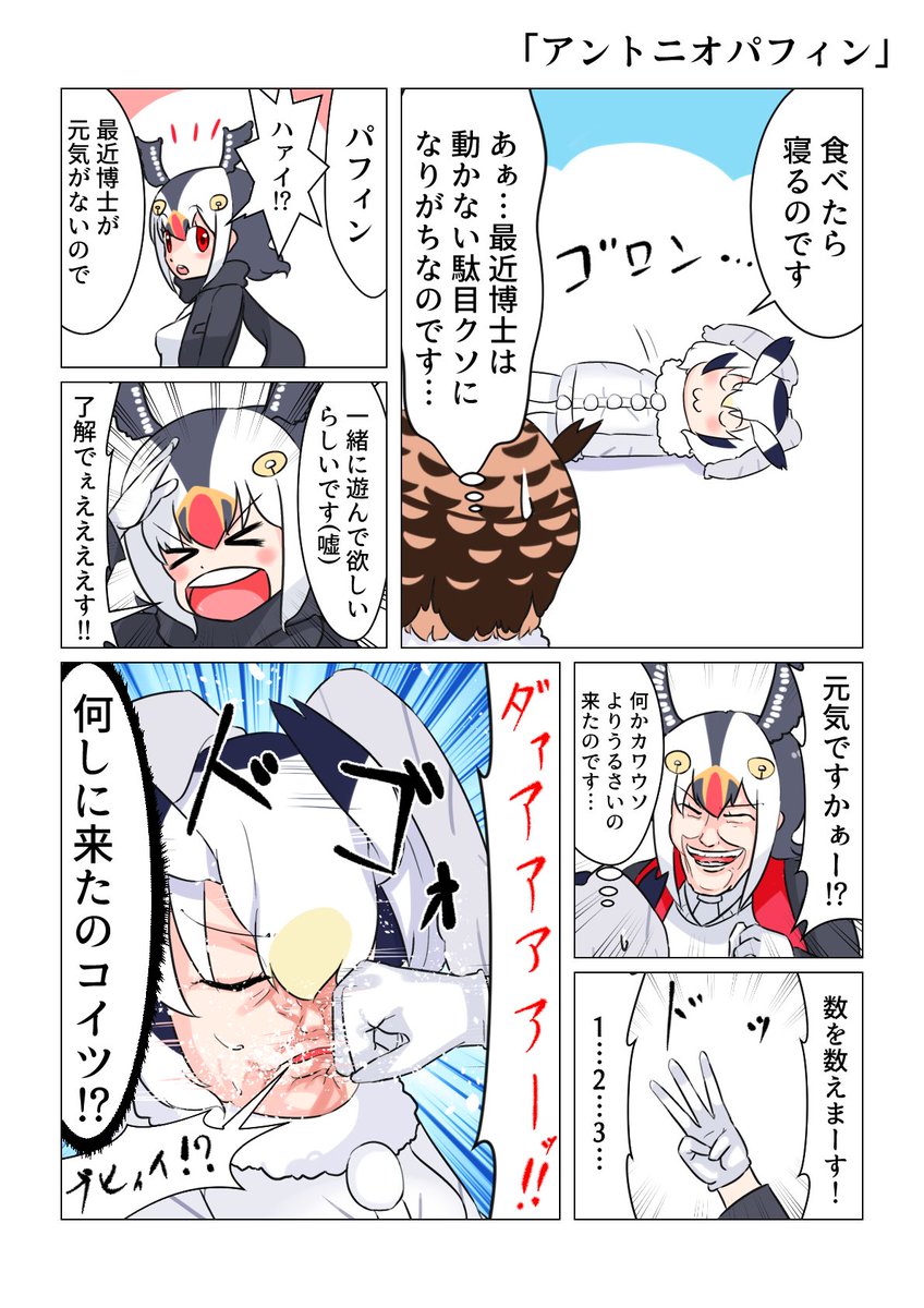 毛玉おけむ💪🐷🔥 tweet media