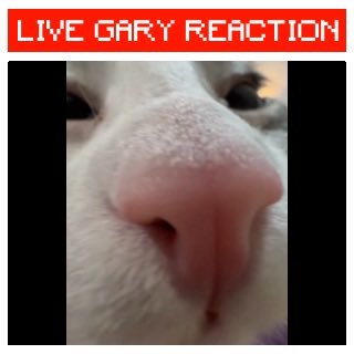 Fola_Weird_Deer's tweet image. Bro what the fuck happened with having free imagination with the power of creation when it came to #roblox? Are we seriously needing to #pay for a fucking #subscription to upload games now? Not everyone can get a job! Wondering if a #petition would be actually possible…