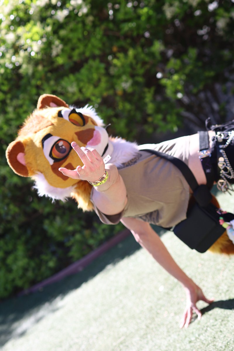 FoxHoundDaMenace 18+ tweet media