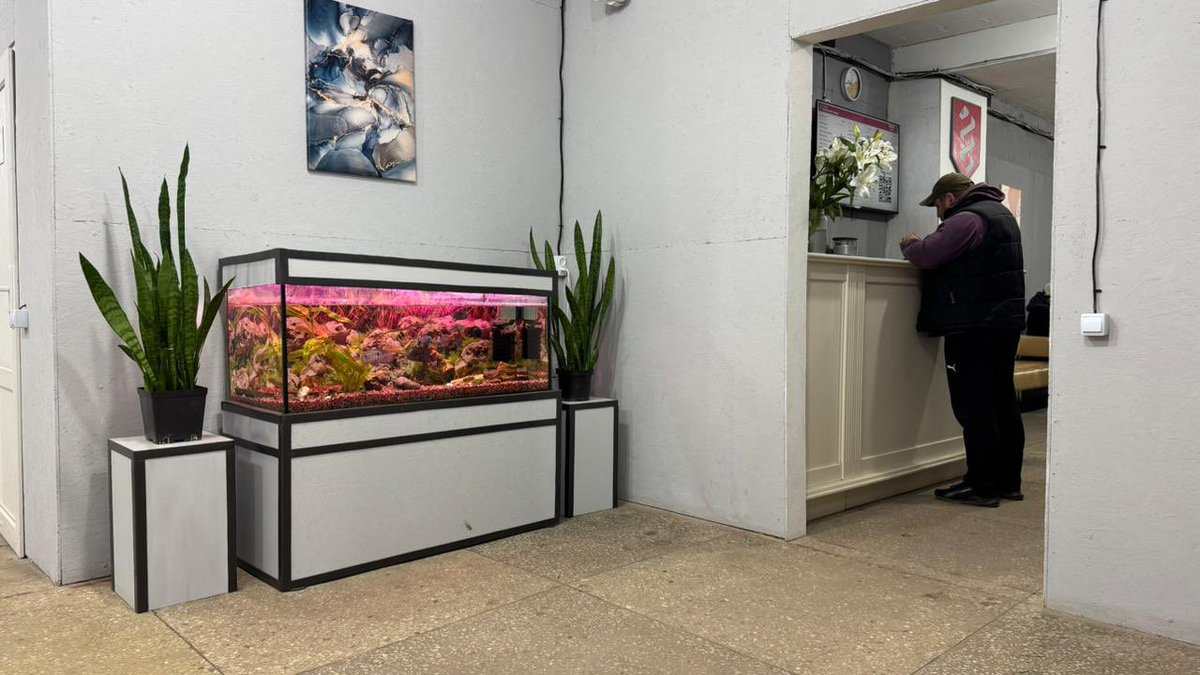 Перший окремий медичний батальйон tweet media