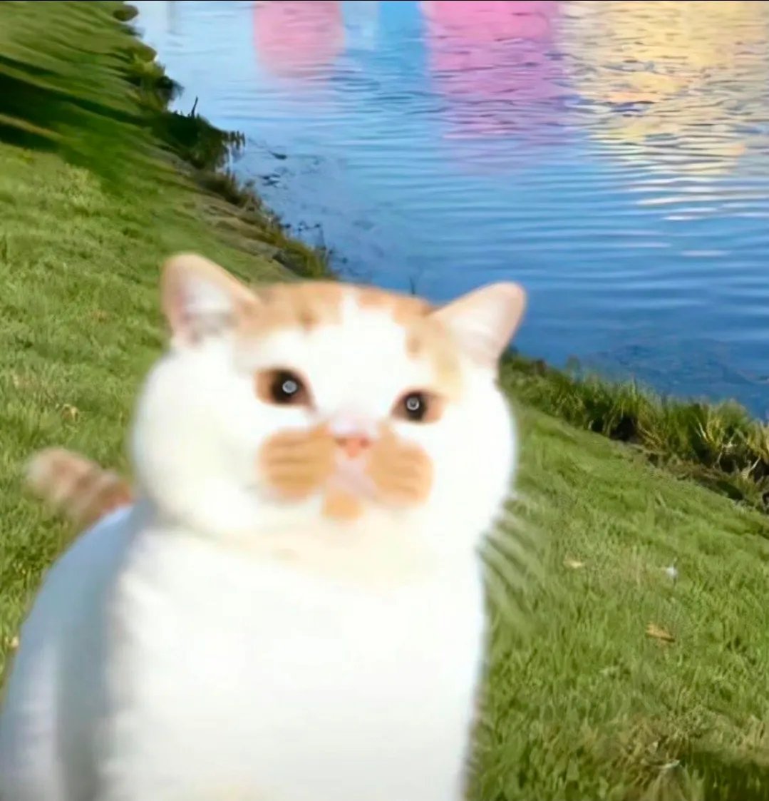 짤주워오는계정 tweet media