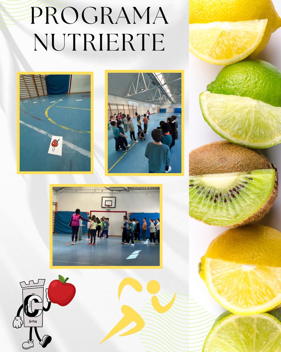 CEIP COMUNEROS DE CASTILLA. ÁVILA tweet media