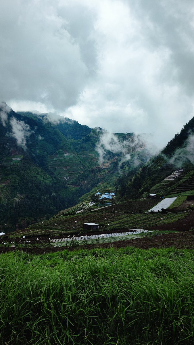 jericho_Go's tweet image. Ini foto foto gunungku,
Mana foto foto gunungmu ?