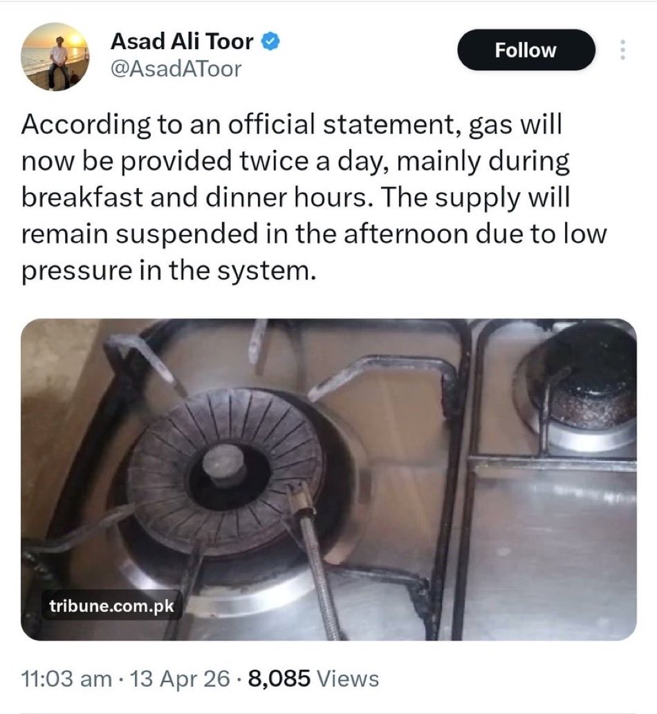 Chill guy tweet media