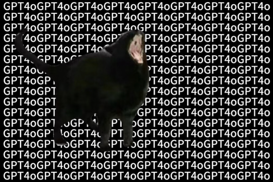 大虎🐯 tweet media