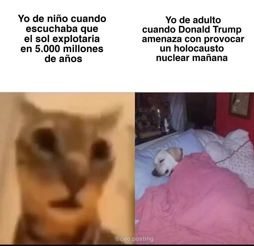 Mega atún tweet media