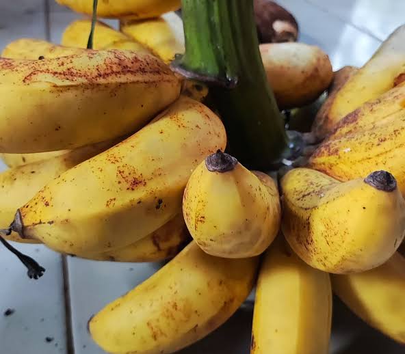 𝐒atoru tweet media