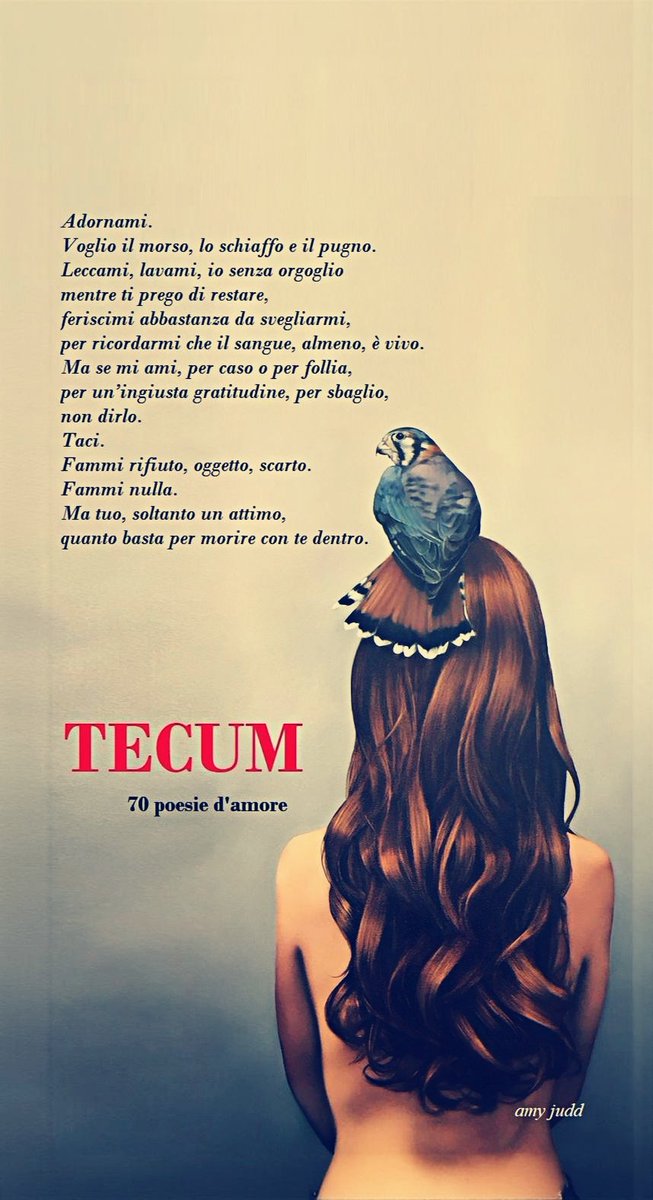 𝔾𝕦𝕚𝕕𝕠 𝕄𝕒𝕫𝕫𝕠𝕝𝕚𝕟𝕚 tweet media