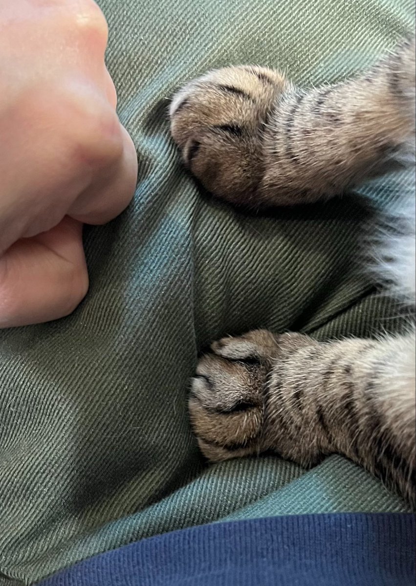 宗方脩 tweet media