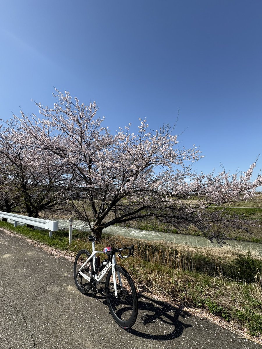 9648ゆうさん tweet media