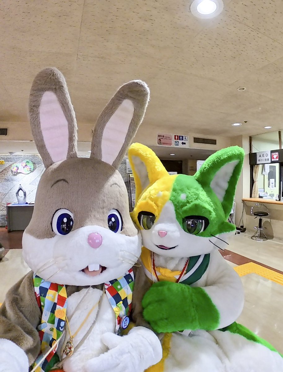 どんちゃん (@Donn_Chann) / Posts / X