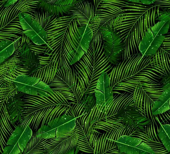 drypdesigns's tweet image. 💧Dark Green Tropical Plants Seamless Background Pattern - Sparkling Palm Leaf Digital Paper - PNG Digital Download Files by drypdesigns💧ift.tt/e8oyGxW #drypdesigns #digitaldownload #digitalart #graphicdesign #PNG