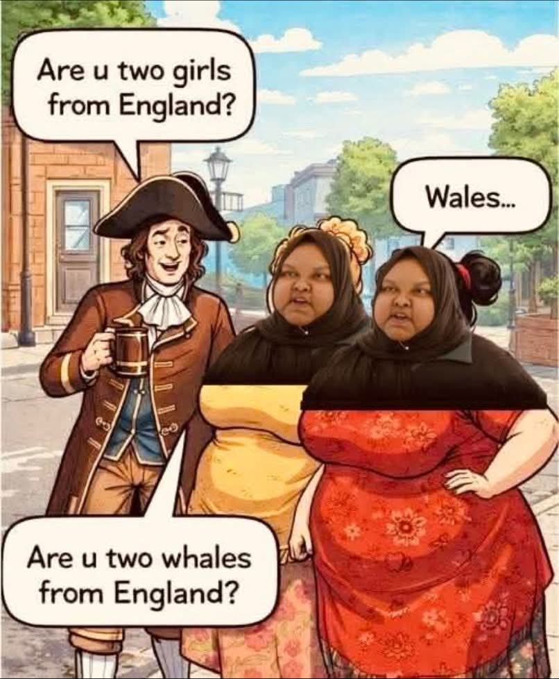 Absolute Memes tweet media