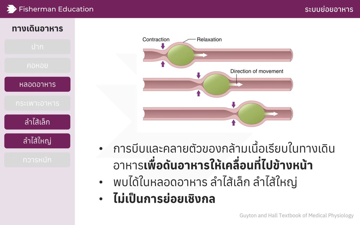 Fisherman | ชีวะไอ้มิว, A-Level, วิทย์การแพทย์ tweet media