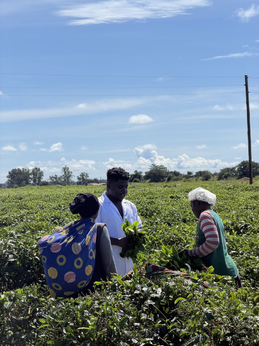 Wode Maya ® tweet media