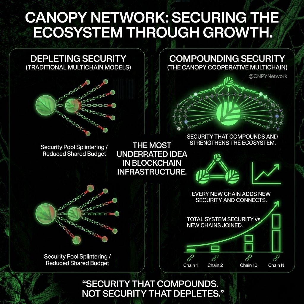 The most underrated idea in blockchain right now.

Every new chain on <a href="/CNPYNetwork/">Canopy</a> strengthens the ecosystem it joins.
Every mature chain becomes a foundation for the next generation.

Security that compounds. Not security that depletes.
