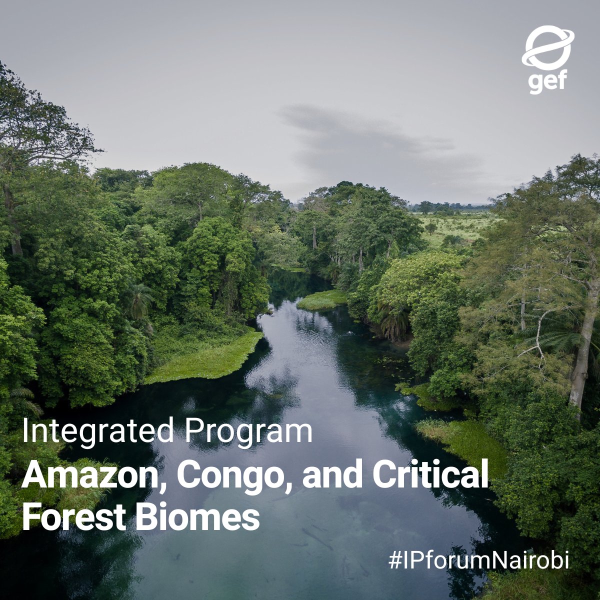 theGEF's tweet photo. At @theGEF #IPforumNairobi, the Critical Forest Biomes Integrated Program works across the Amazon, Congo Basin & beyond to tackle deforestation and protect biodiversity through integrated landscape approaches.
@WorldBankGroup @UNEP @IUCN @FAO @ConservationOrg #IntegratedPrograms https://t.co/i2qpaiB4KQ