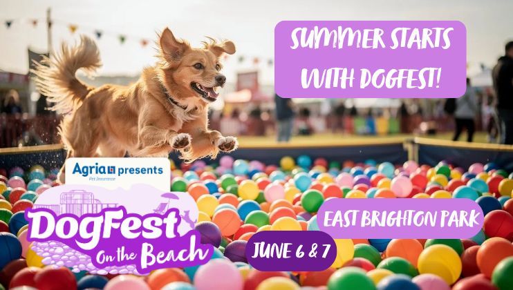 CultureCalling's tweet photo. 🐾 DogFest on the Beach is coming to Brighton!

Hosted by Rylan, this high-energy festival is packed with dogs, DJs, drag, games and plenty of wagging tails.

From obstacle courses and dog shows to live music and food, it’s a weekend for pups and paw-rents alike.

📍 East Brighton Park
📅 6–7 June 2026
🎟️ Use code CULTURE20 for 20% off 

https://t.co/h45xerSEYb
