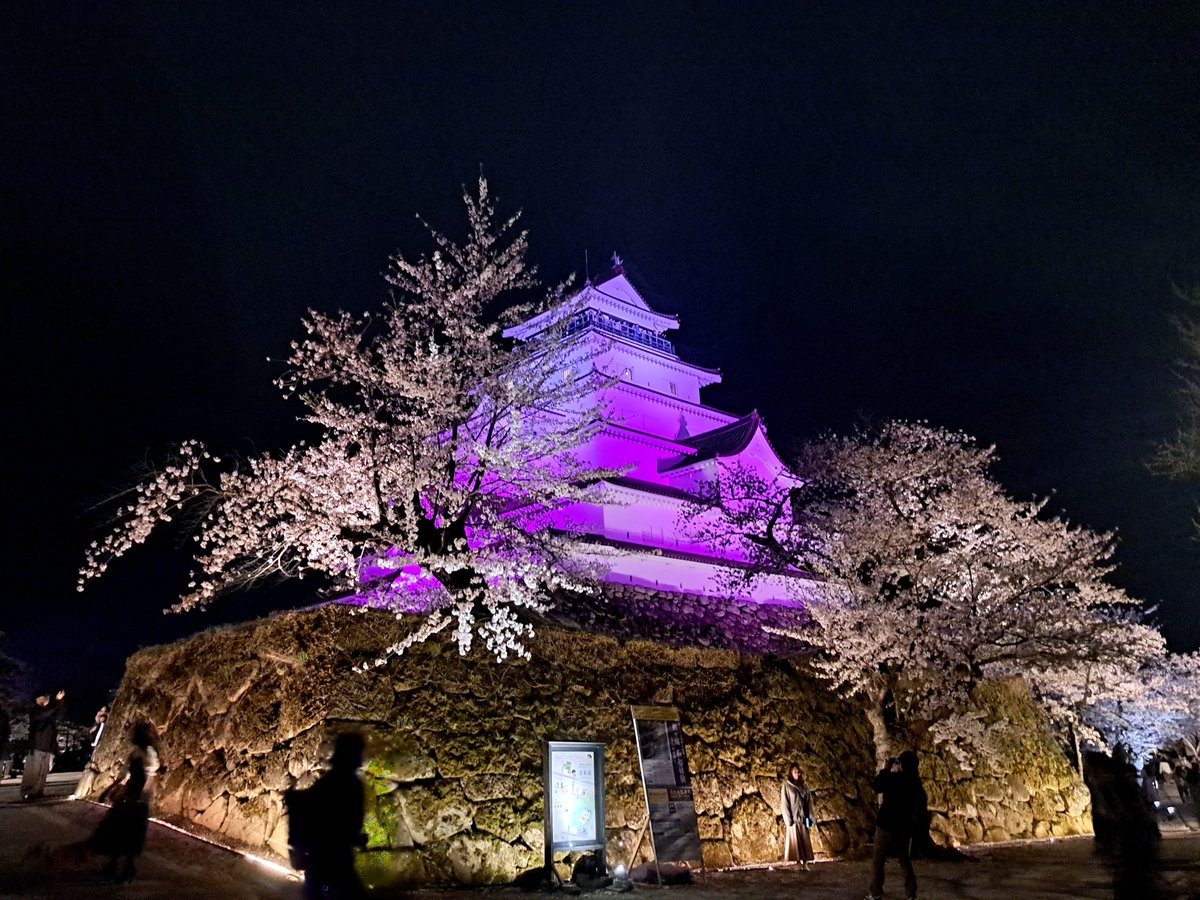 VTEC33272478's tweet photo. 鶴ヶ城の桜綺麗だった
11日の桜状況
11日は会津若松駅でSLばんえつ物語もみたし12日は猪苗代通過のばんえつ物語みれた。磐梯山も綺麗だった https://t.co/wz5PFb29F2