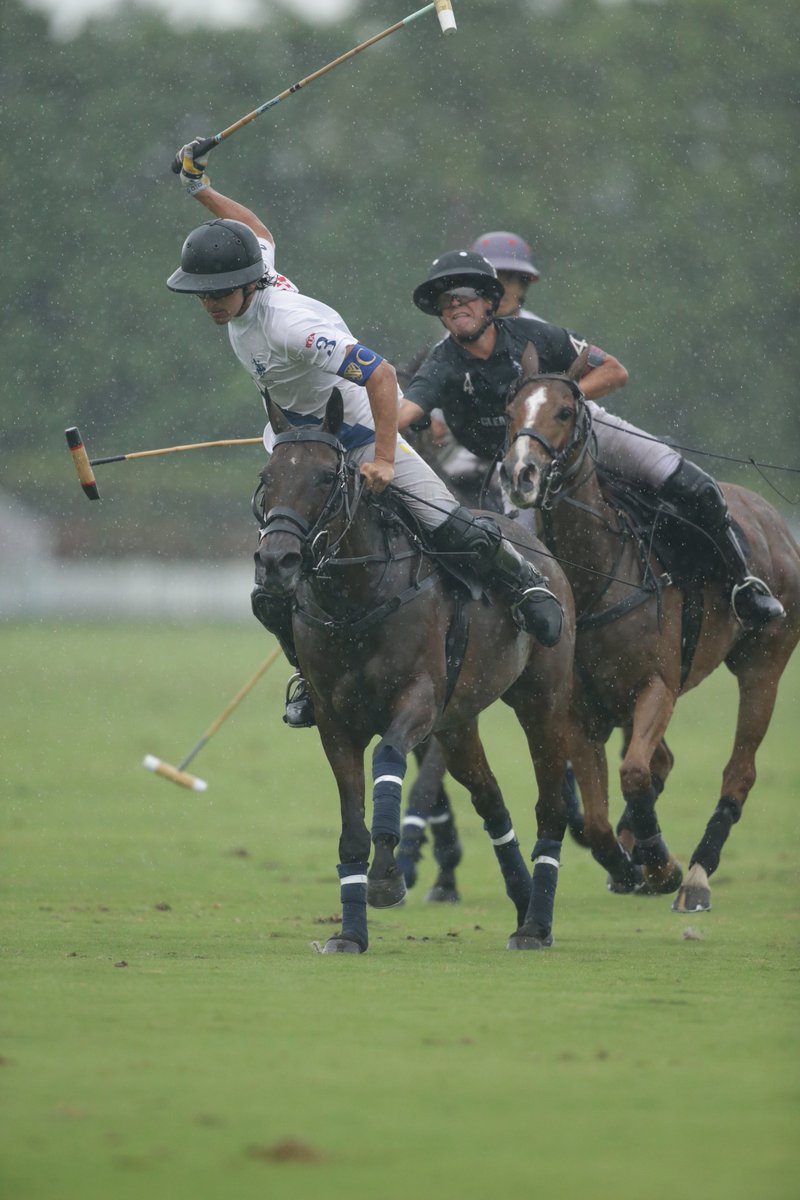 Polo Times tweet media