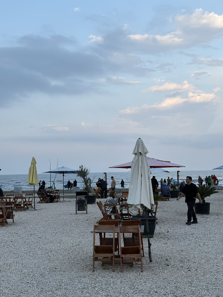 Arya Yadeghaar (Backup) tweet media