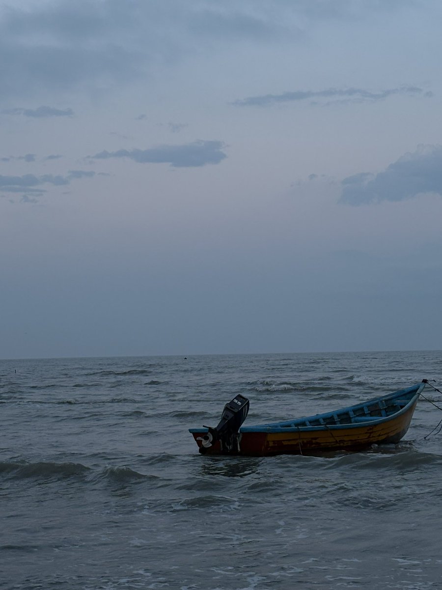 Arya Yadeghaar (Backup) tweet media