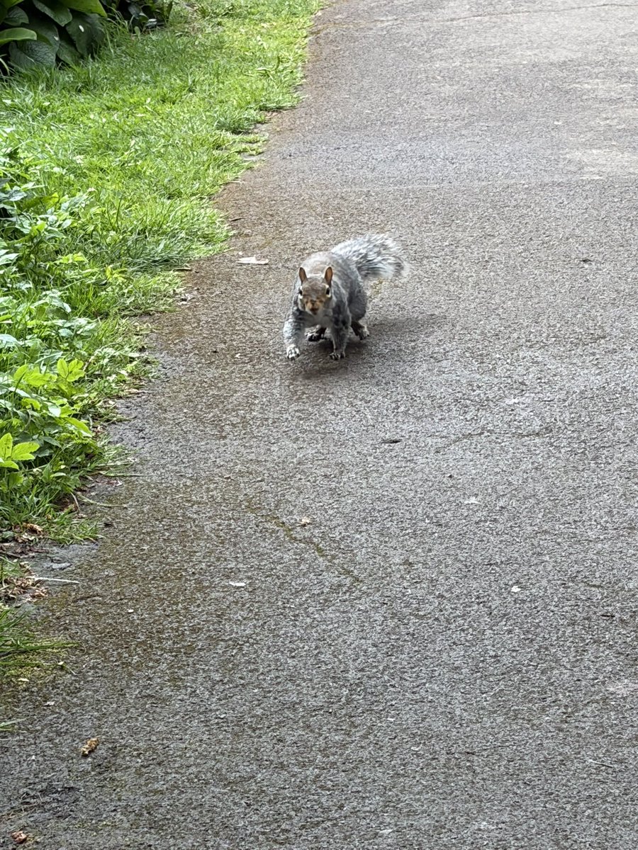 Smilingwillhelp tweet media