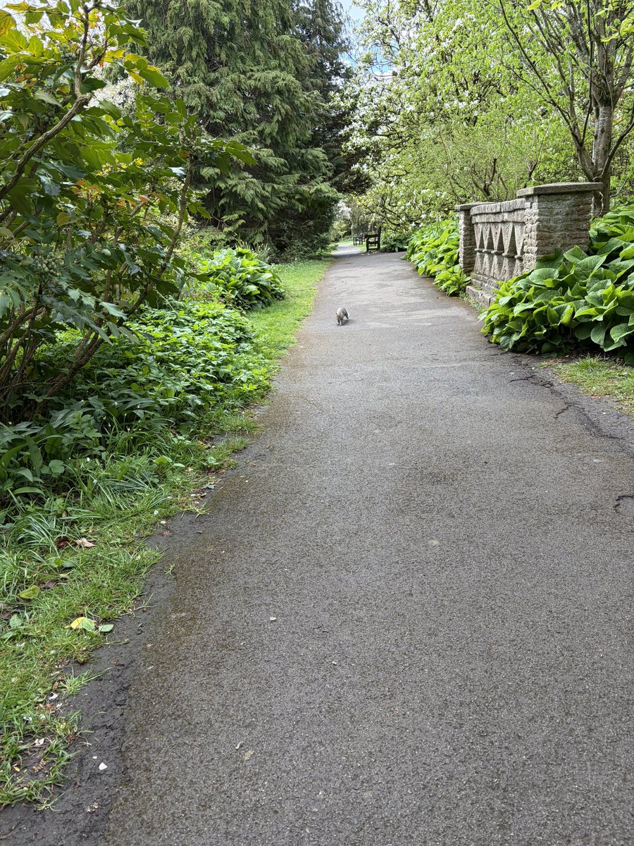 Smilingwillhelp tweet media