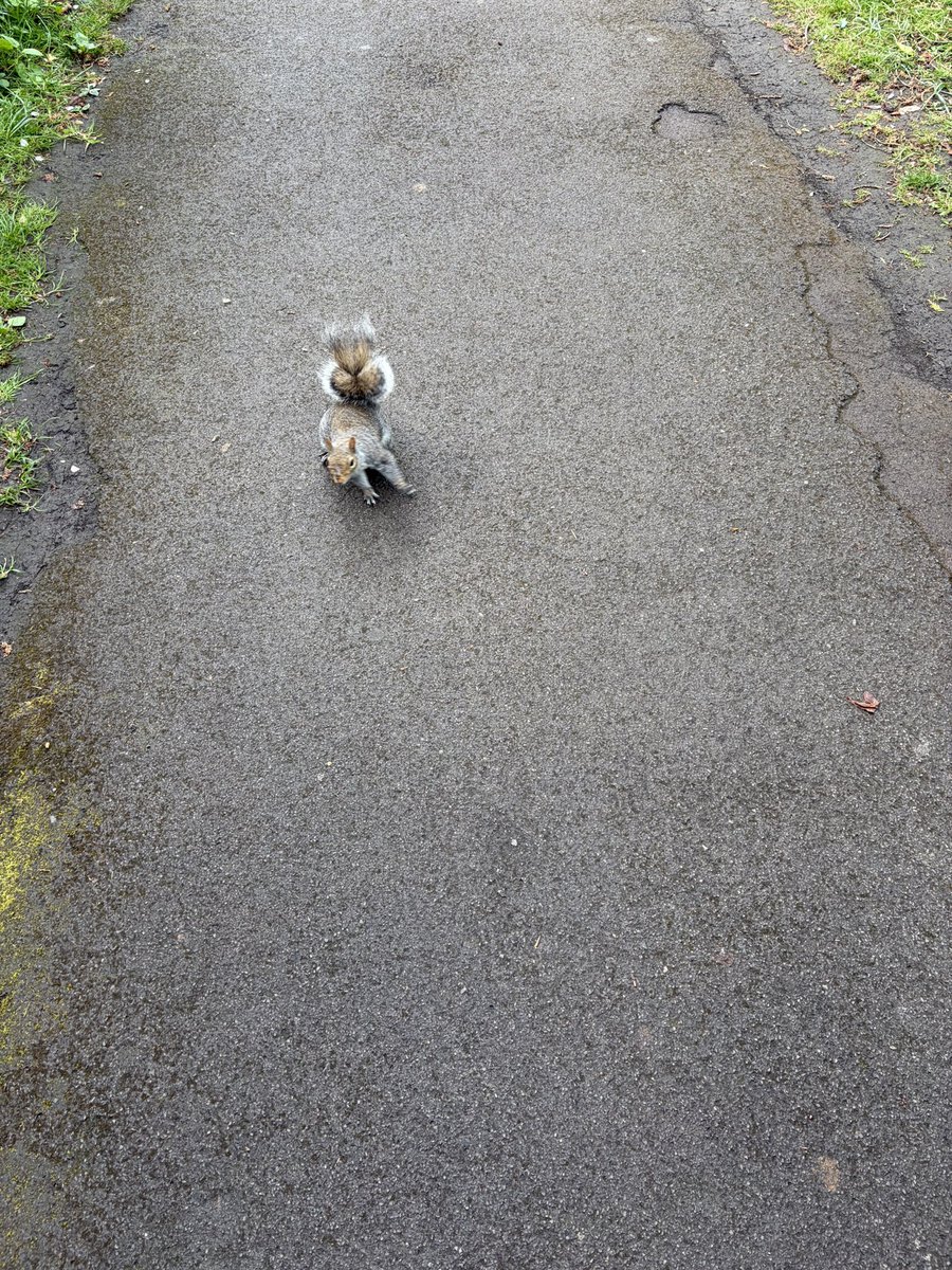 Smilingwillhelp tweet media