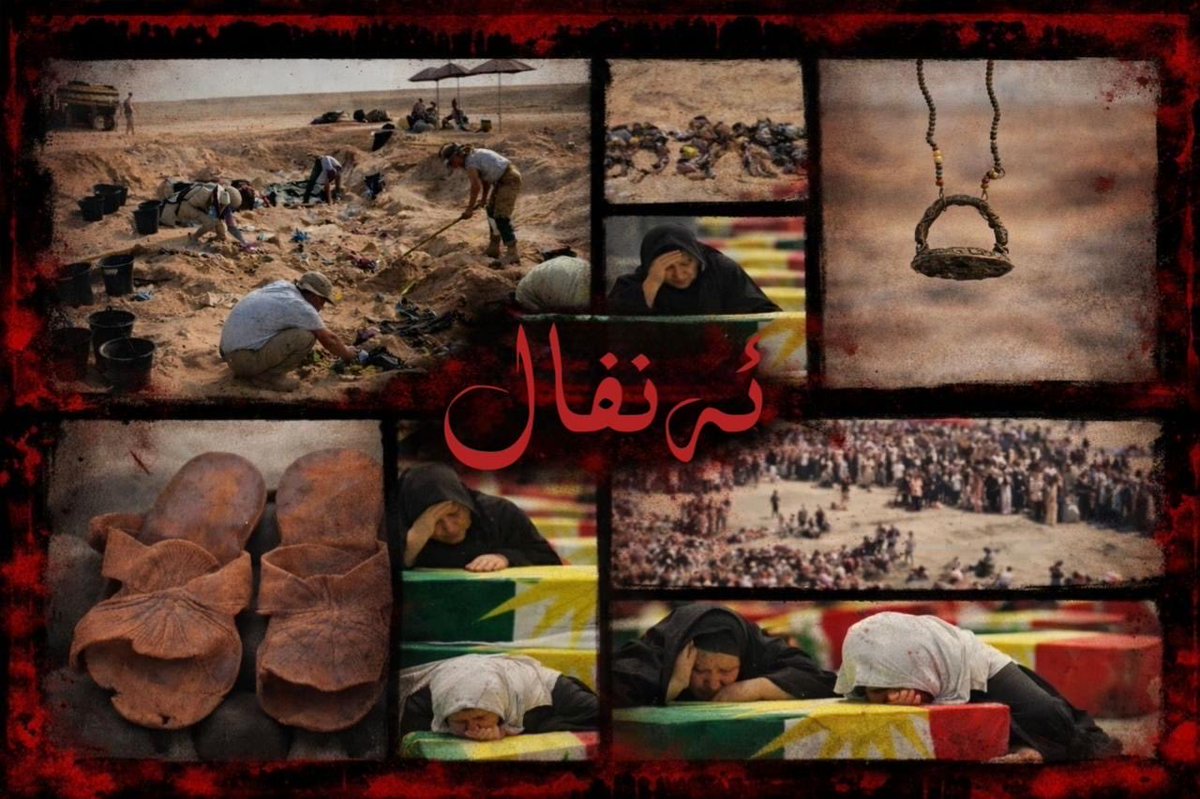 Safeen Dizayee tweet media