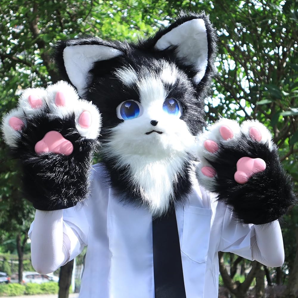 Christof tweet media