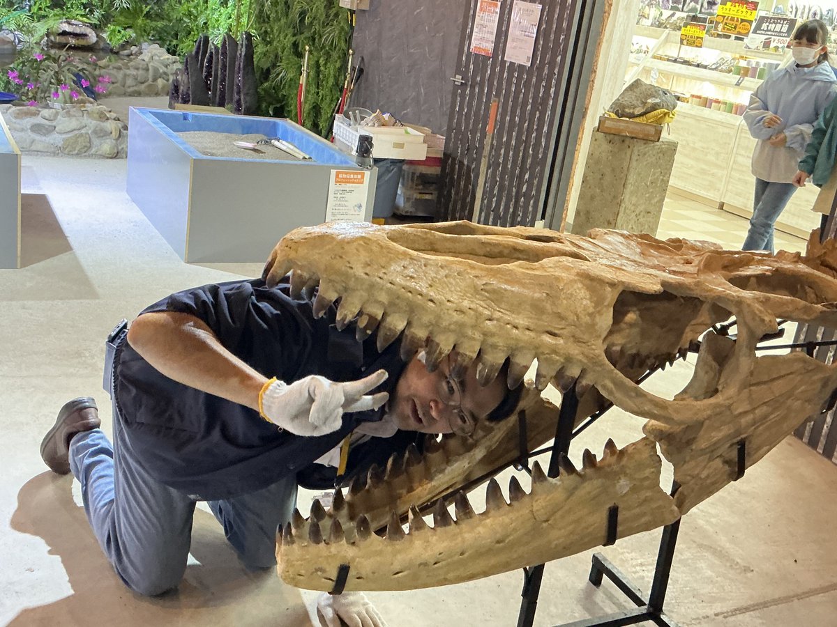 ミネラルマルシェ【公式】 tweet media