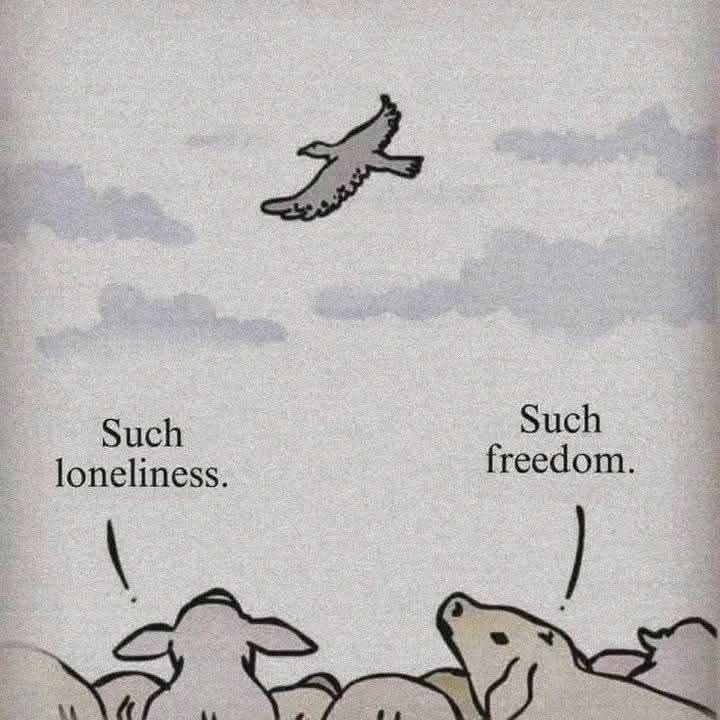 Deep Psychology tweet media