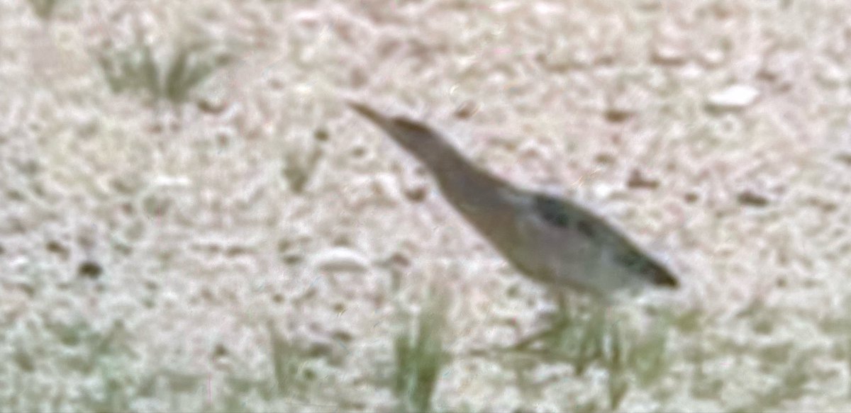 ديسمّبر. tweet media