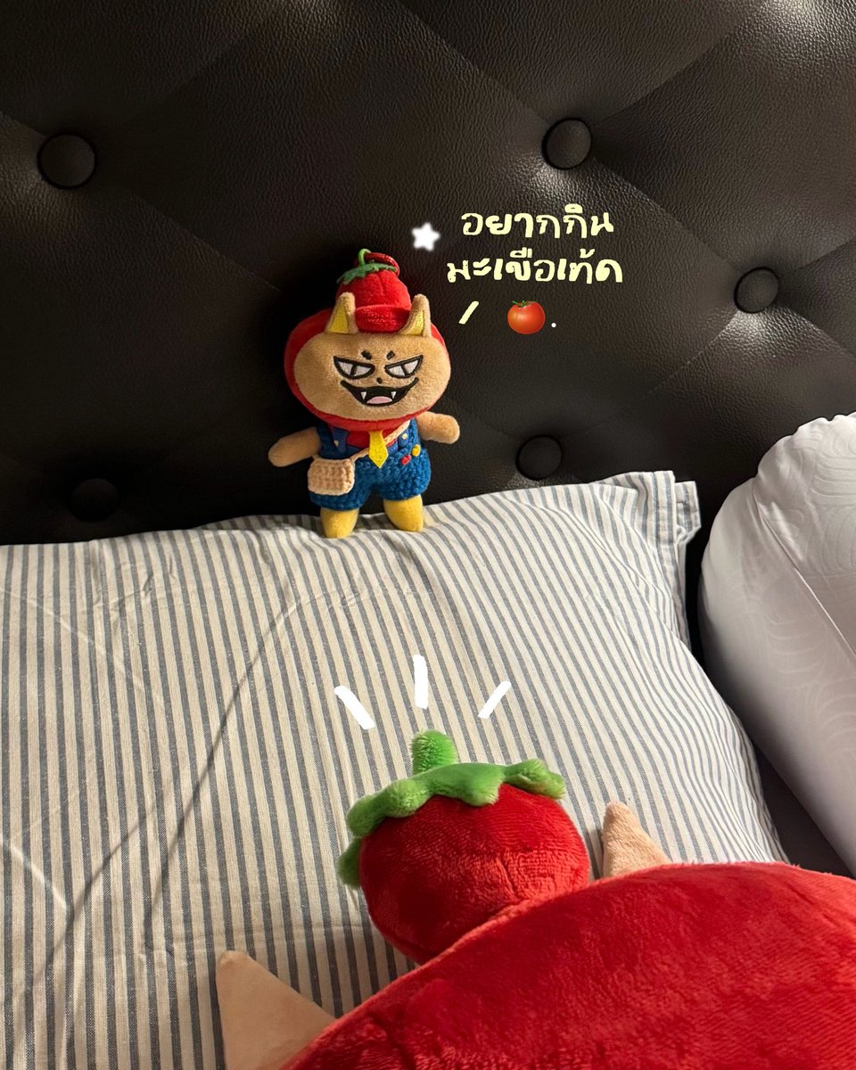 𓇼｡:b tweet media