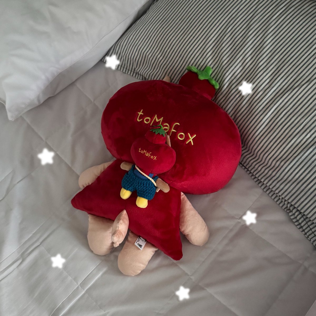 𓇼｡:b tweet media