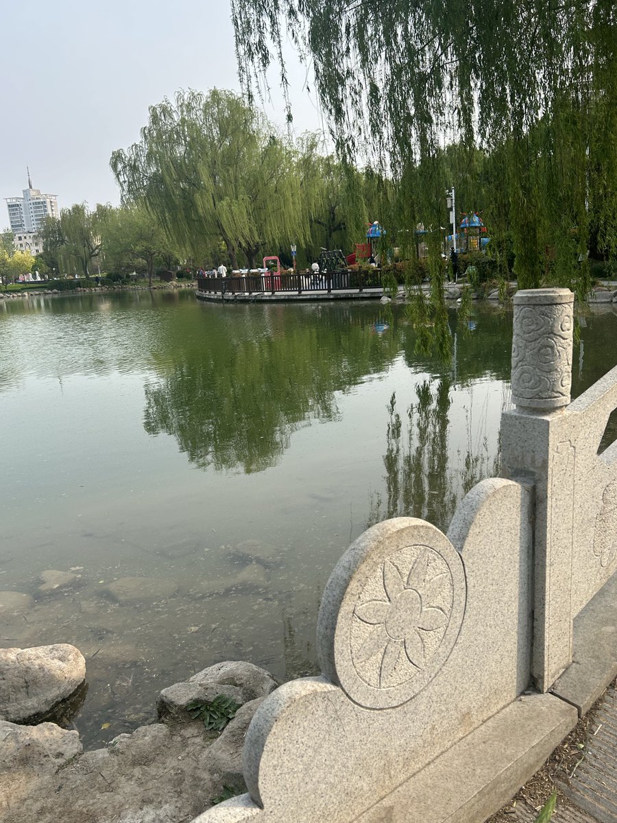 甜甜在这里 tweet media