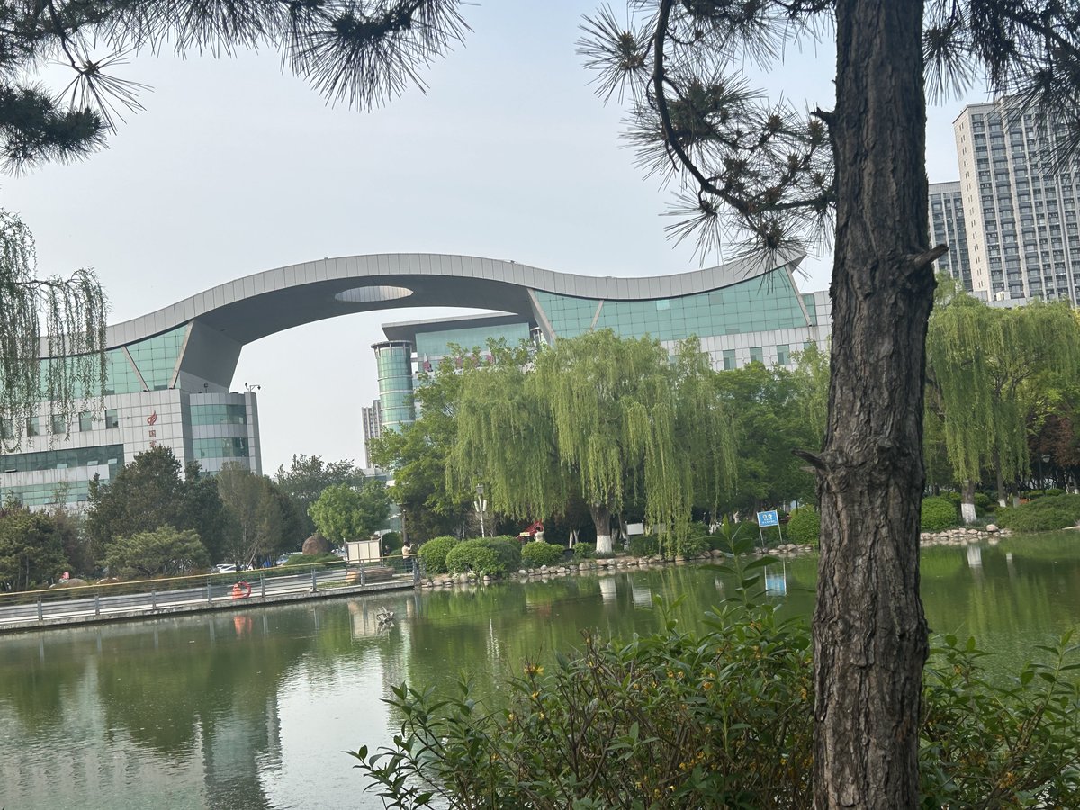 甜甜在这里 tweet media